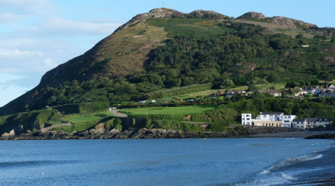 bray